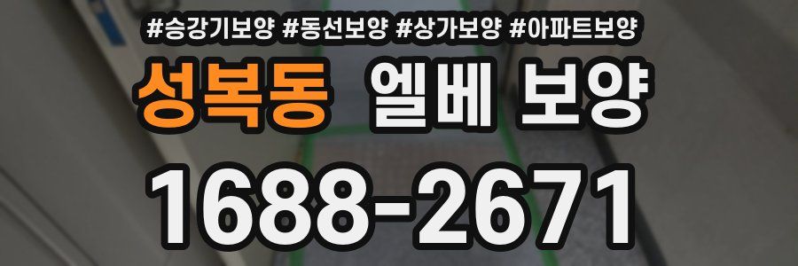 성복동 엘베 보양