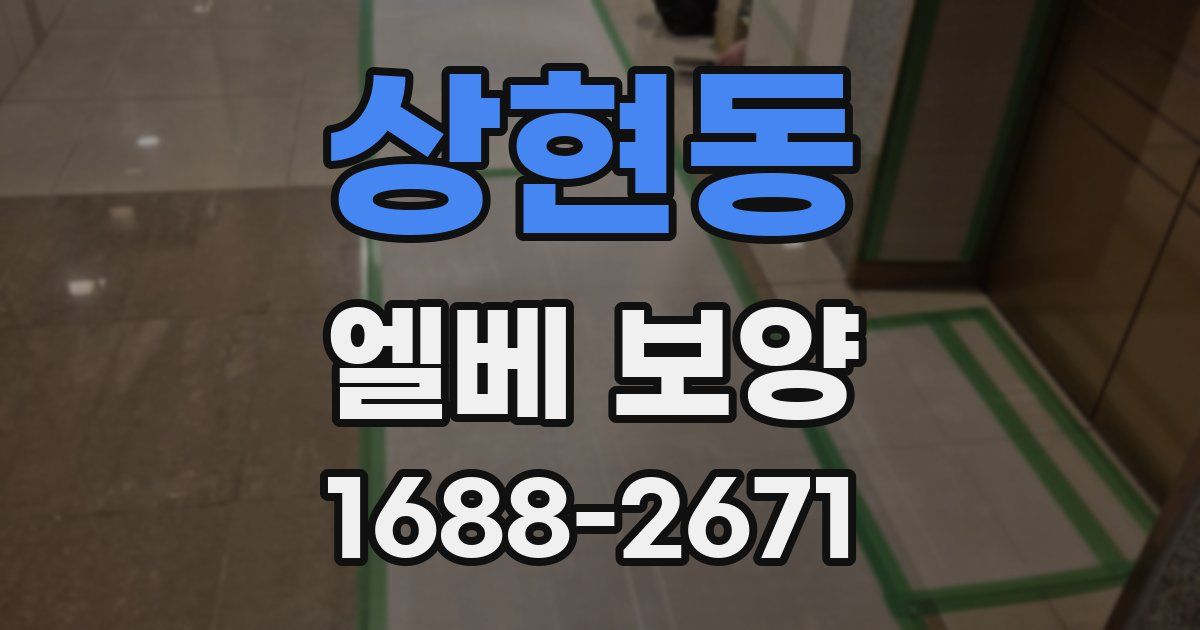 상현동 엘베 보양