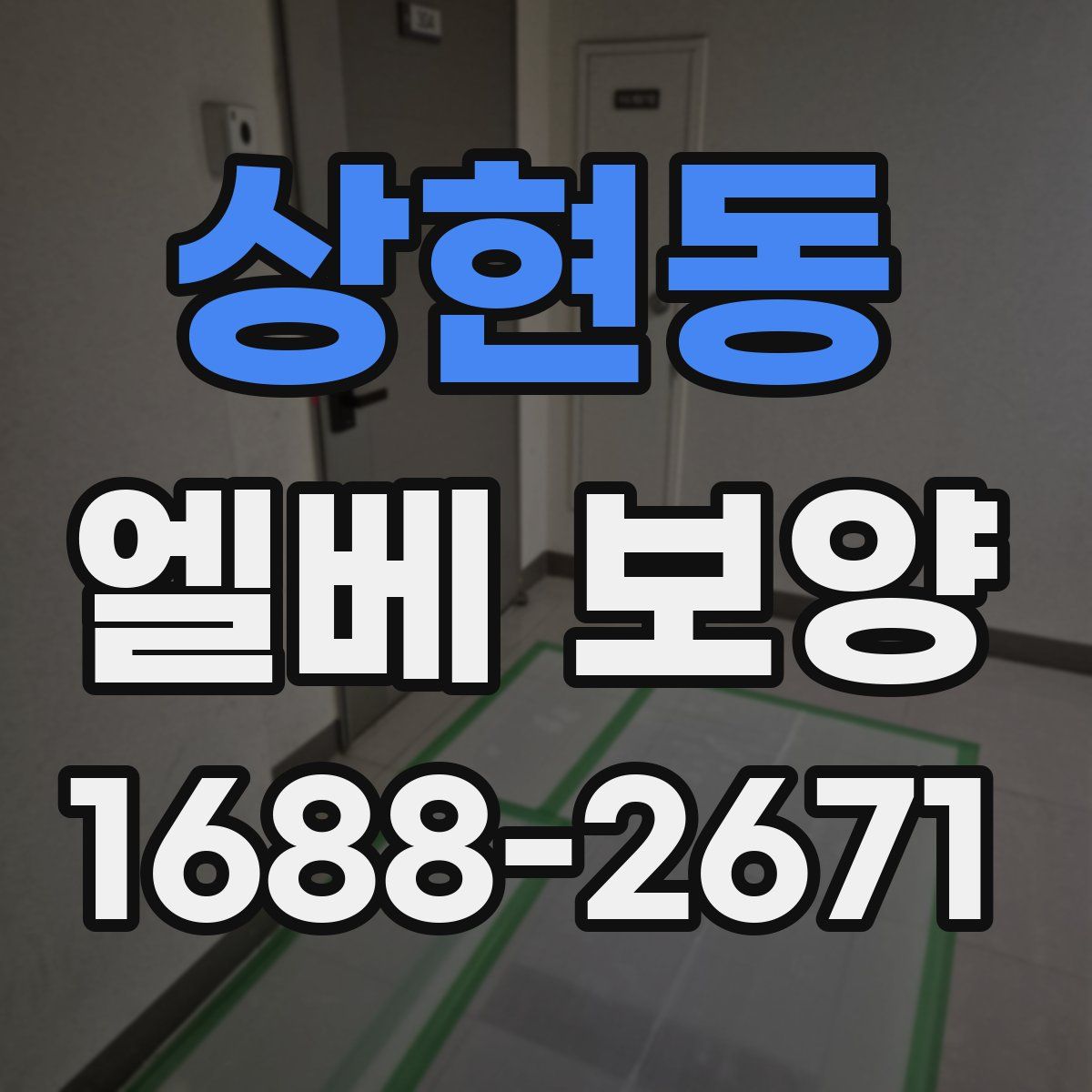 상현동 엘베 보양