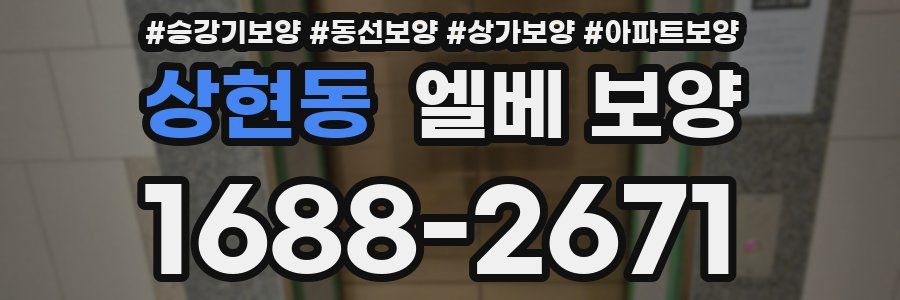 상현동 엘베 보양