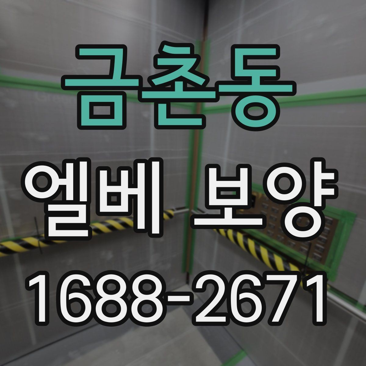 금촌동 엘베 보양 현장마다 달라지는 보호 범위와 순서