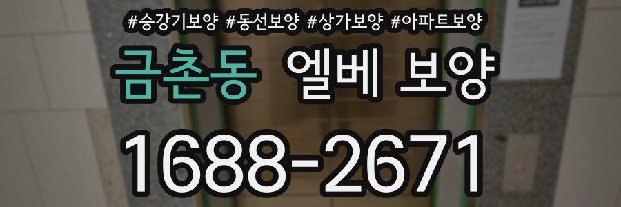 금촌동 엘베 보양