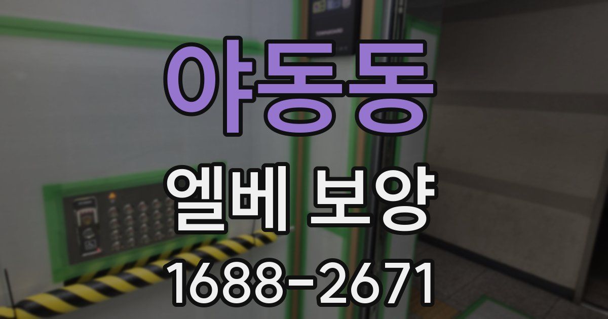 야동동 엘베 보양