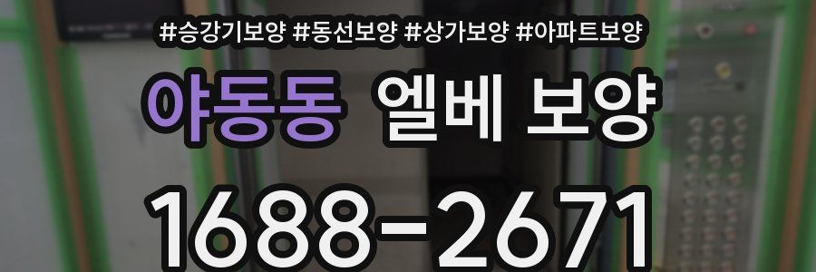 야동동 엘베 보양