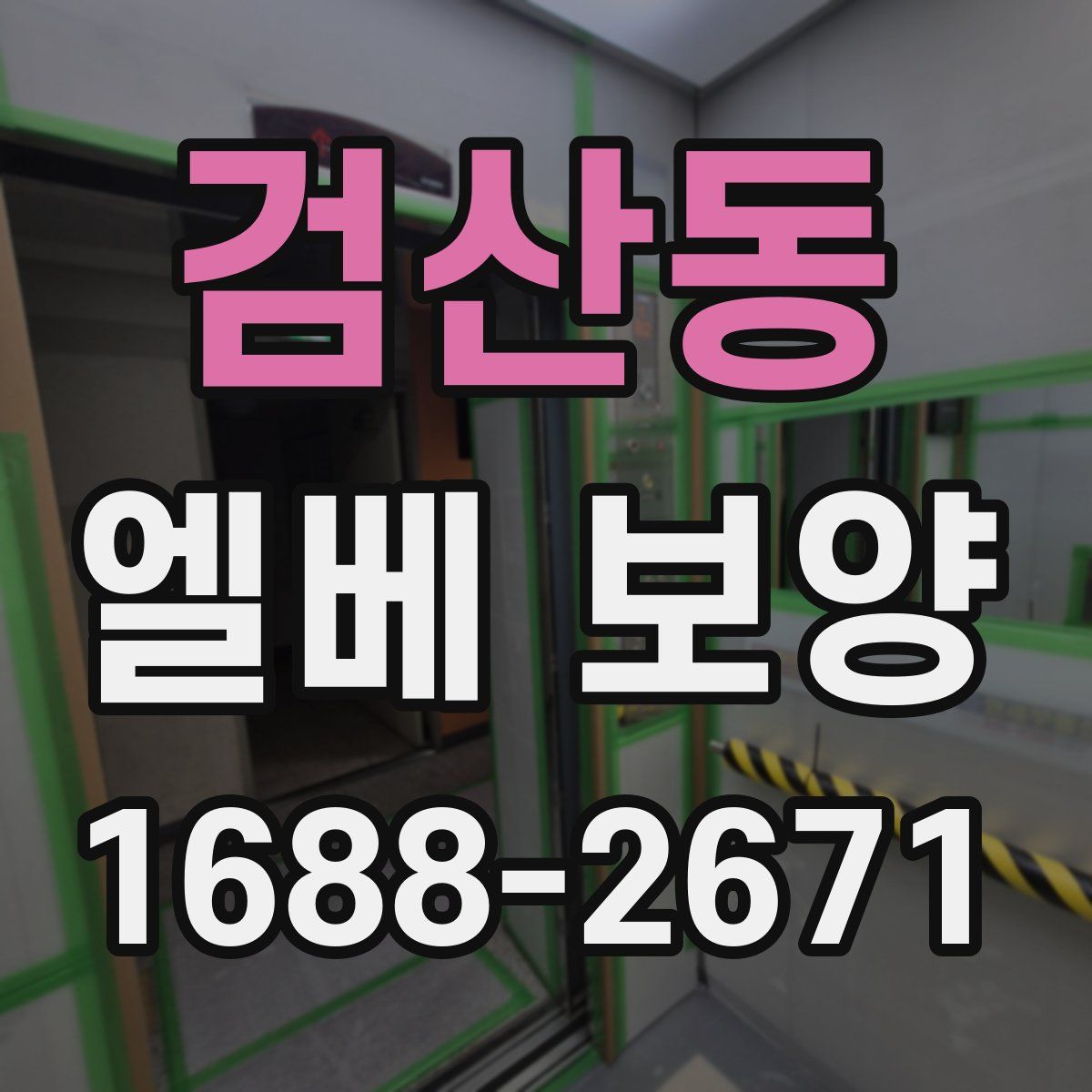 검산동 엘베 보양