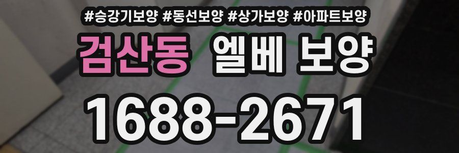 검산동 엘베 보양