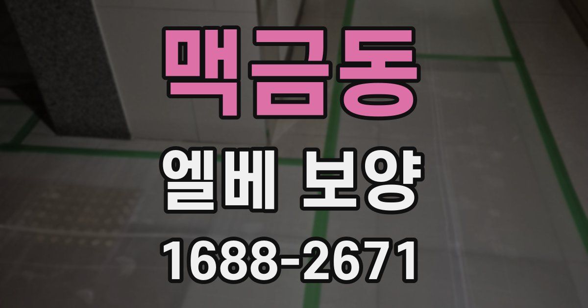 맥금동 엘베 보양