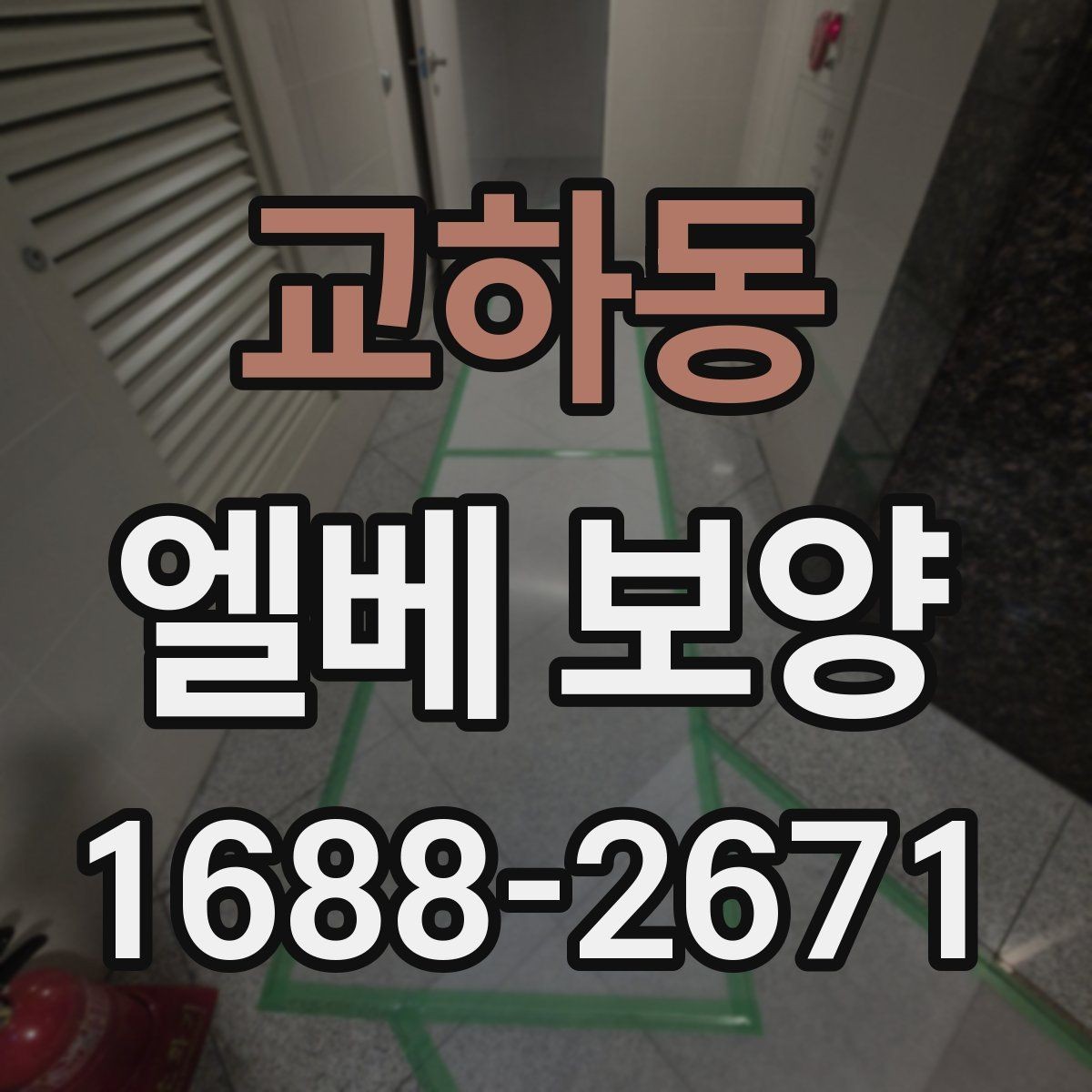 교하동 엘베 보양 승강기 내부 마감 손상 막는 실무 팁