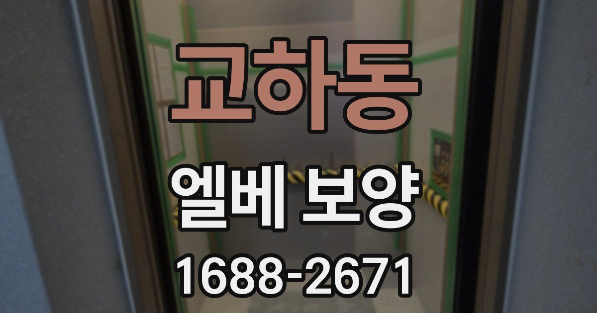 교하동 엘베 보양