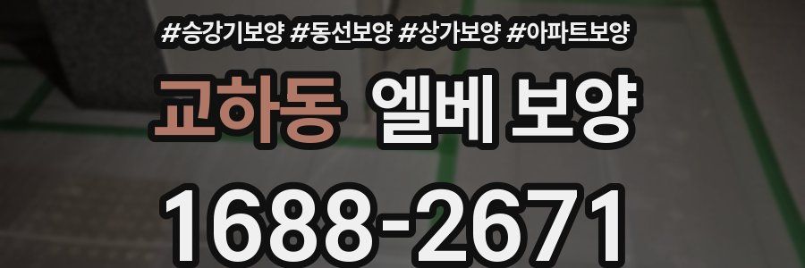 교하동 엘베 보양