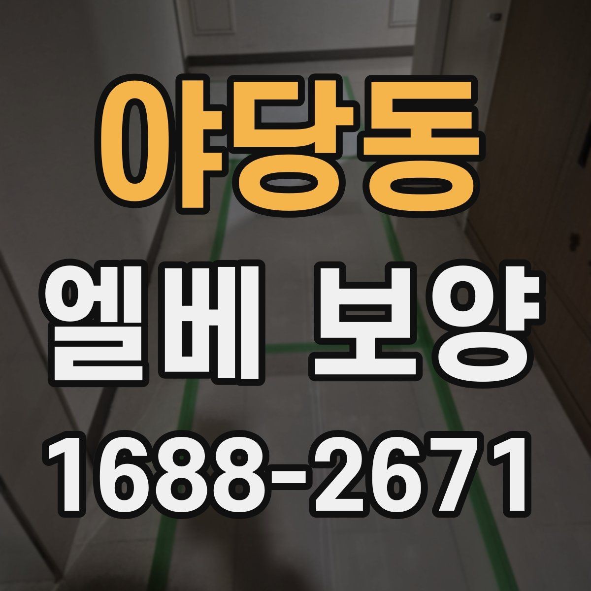 야당동 엘베 보양 자재 선택부터 마감 확인까지 점검 흐름