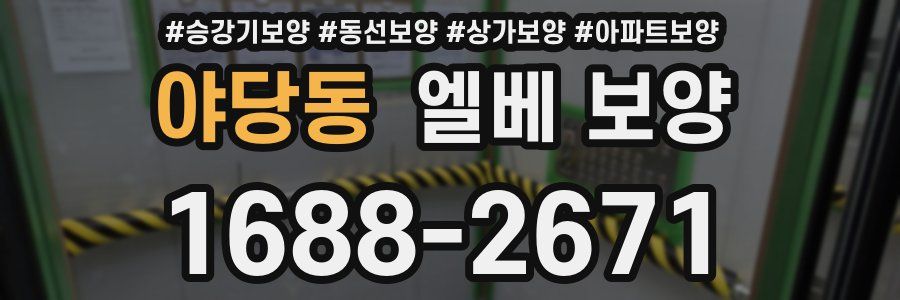 야당동 엘베 보양