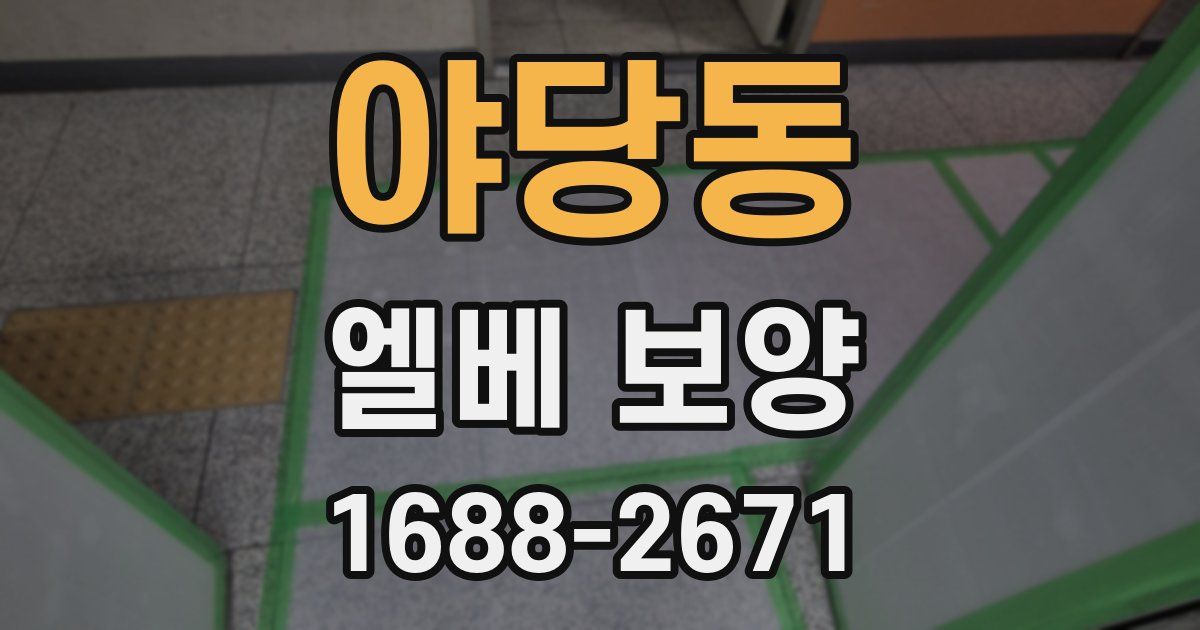 야당동 엘베 보양