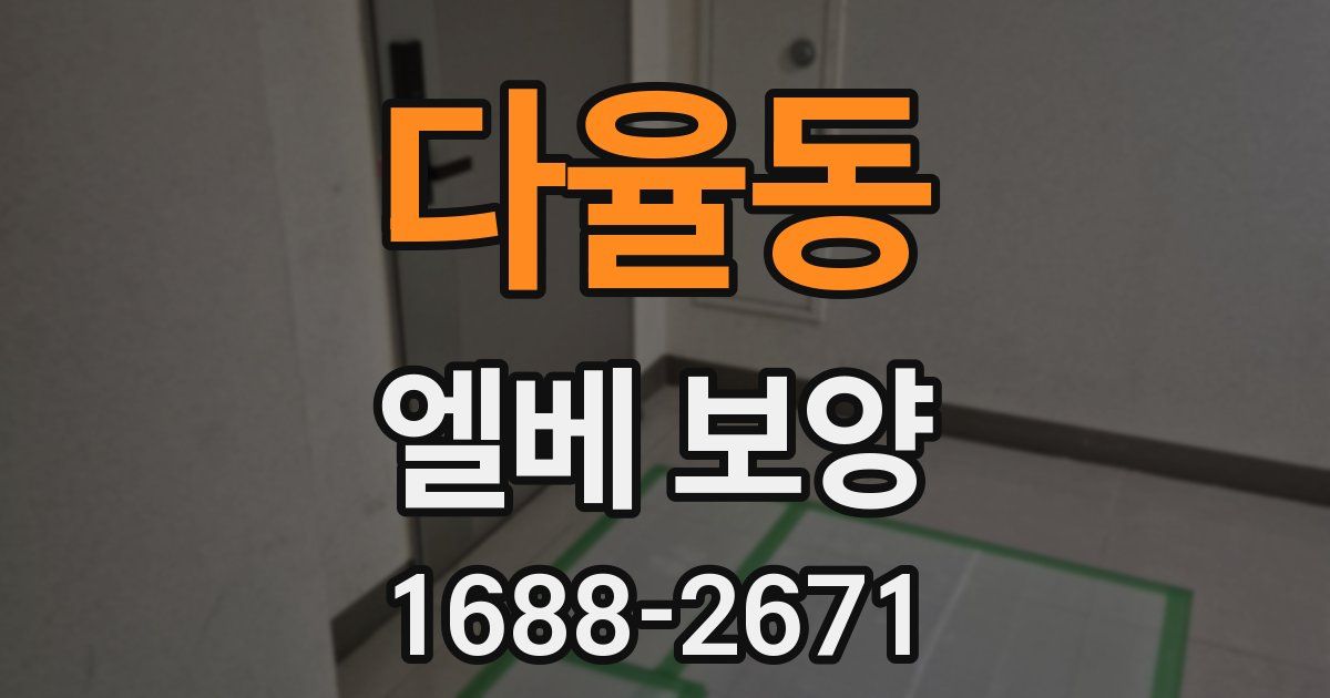 다율동 엘베 보양