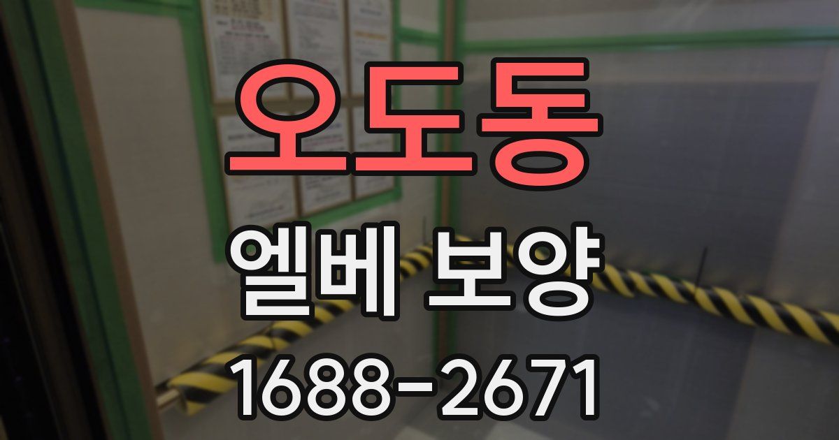 오도동 엘베 보양