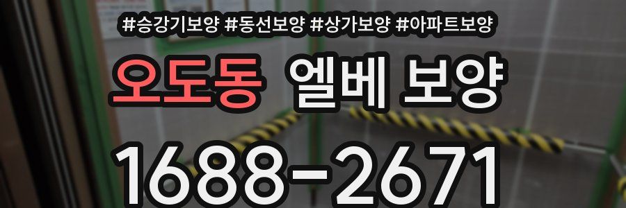 오도동 엘베 보양