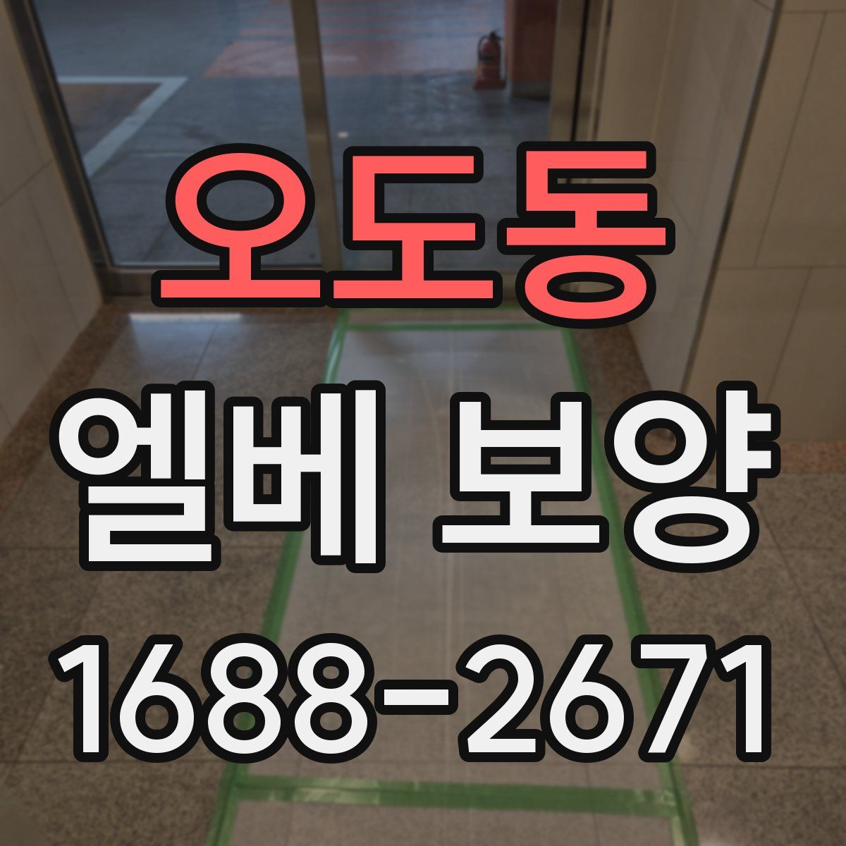 오도동 엘베 보양