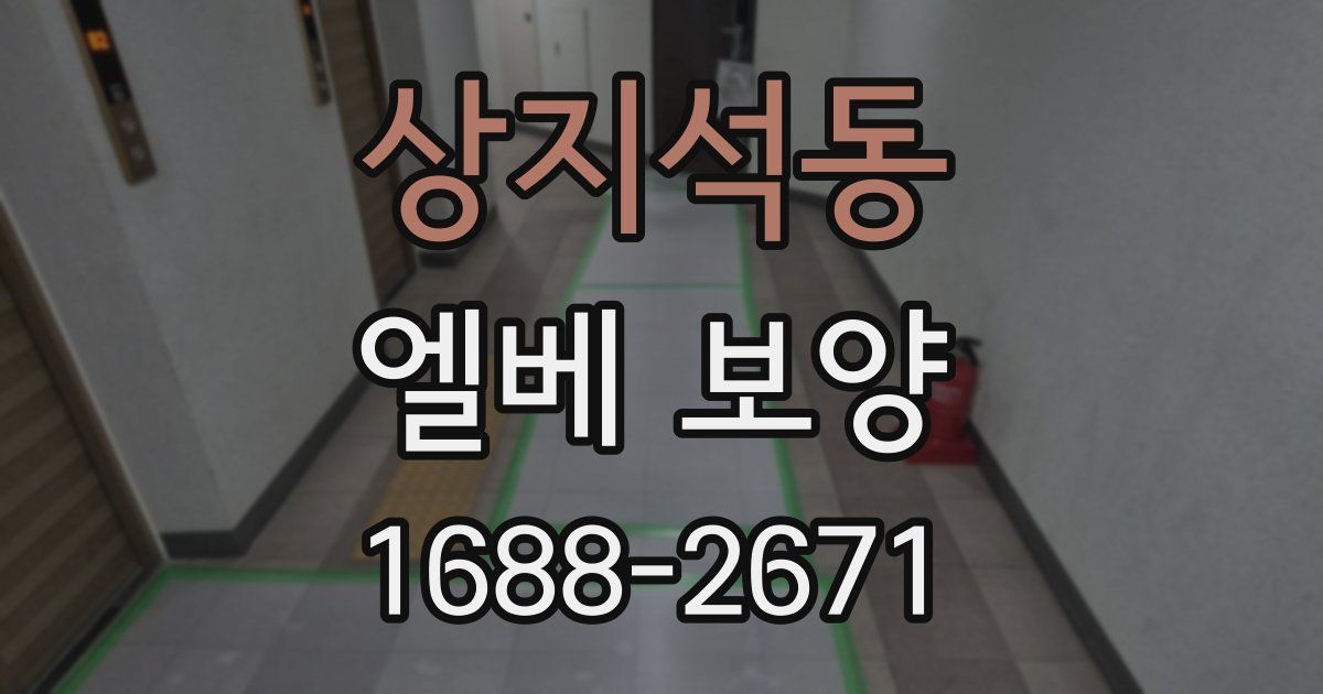 상지석동 엘베 보양