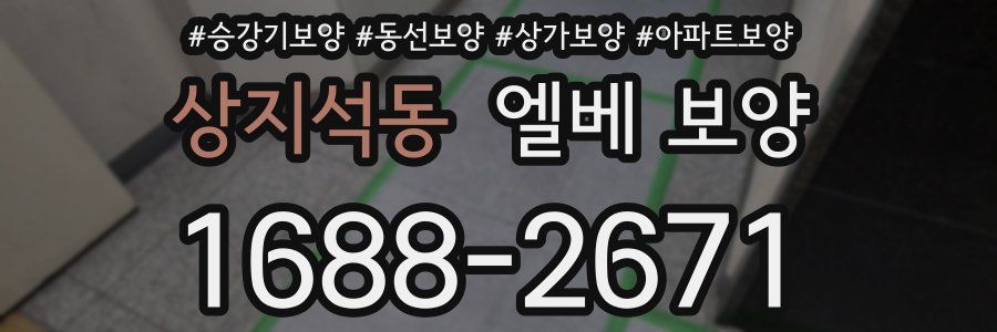 상지석동 엘베 보양