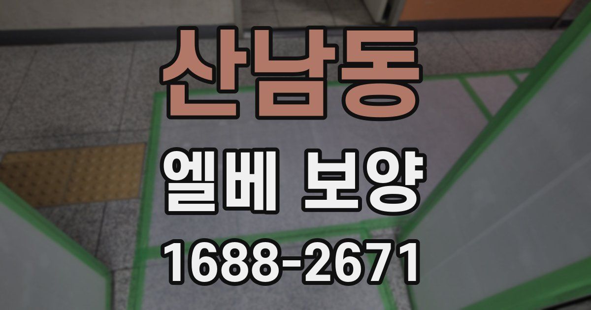 산남동 엘베 보양