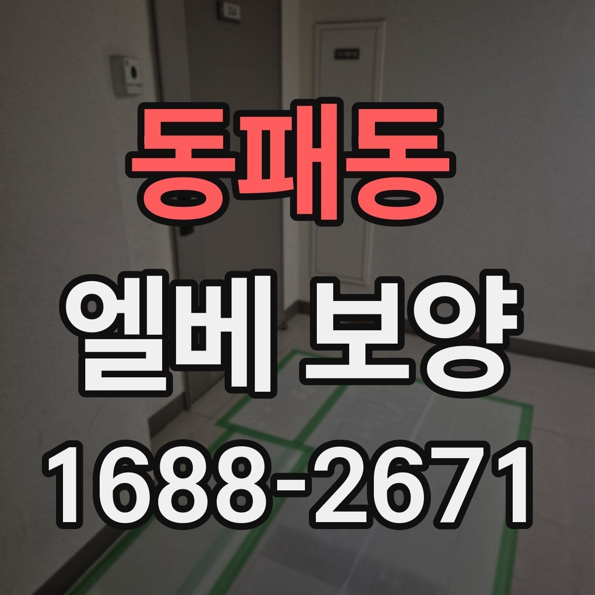 동패동 엘베 보양 문 주변 손상 줄이는 고정 디테일
