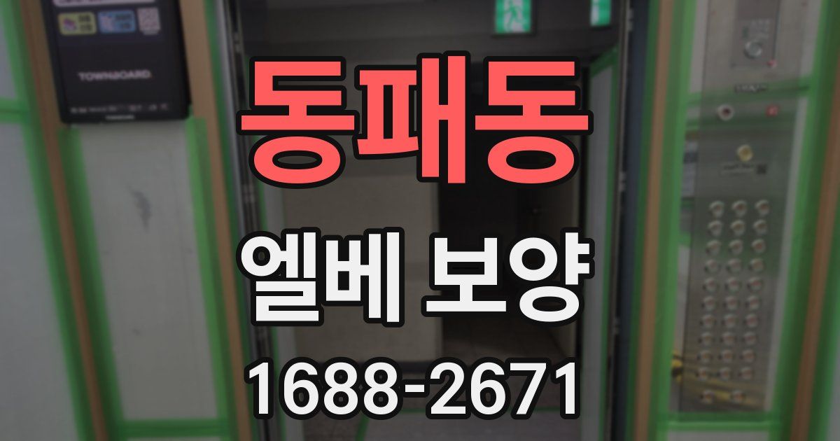 동패동 엘베 보양
