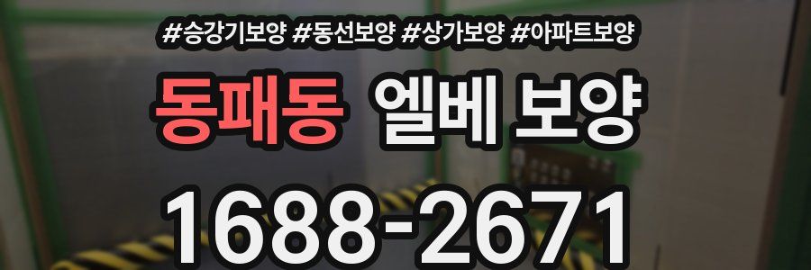 동패동 엘베 보양