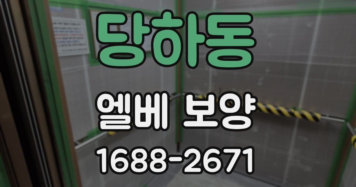 당하동 엘베 보양