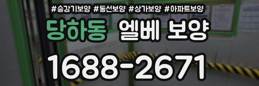 당하동 엘베 보양