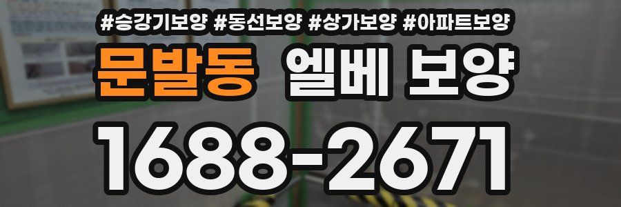 문발동 엘베 보양