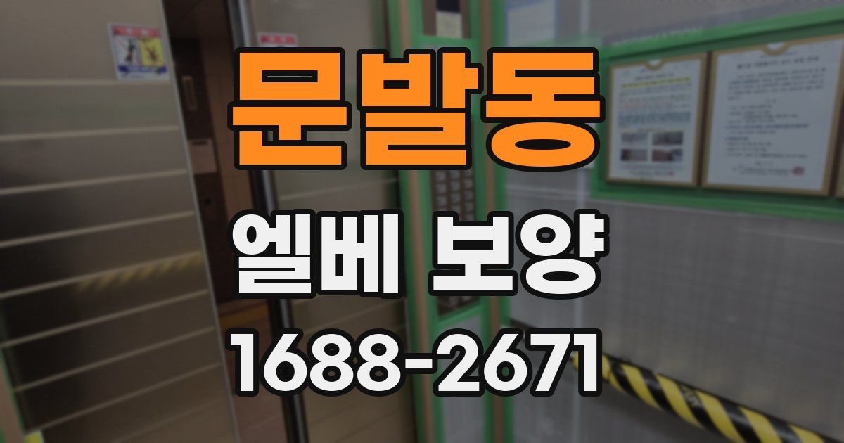 문발동 엘베 보양