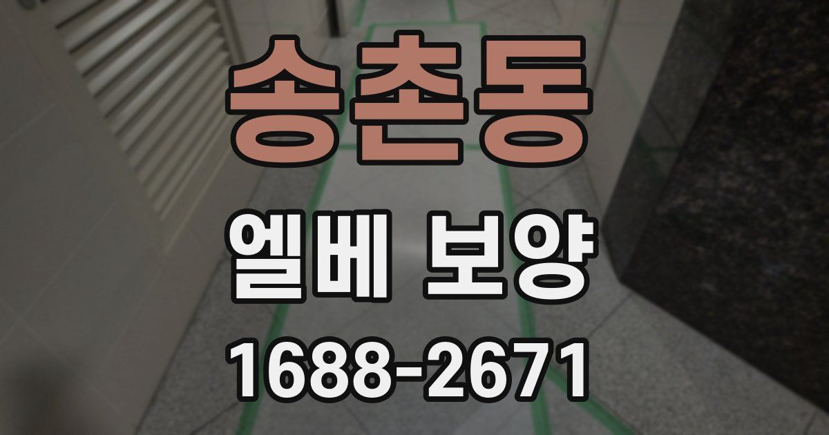 송촌동 엘베 보양