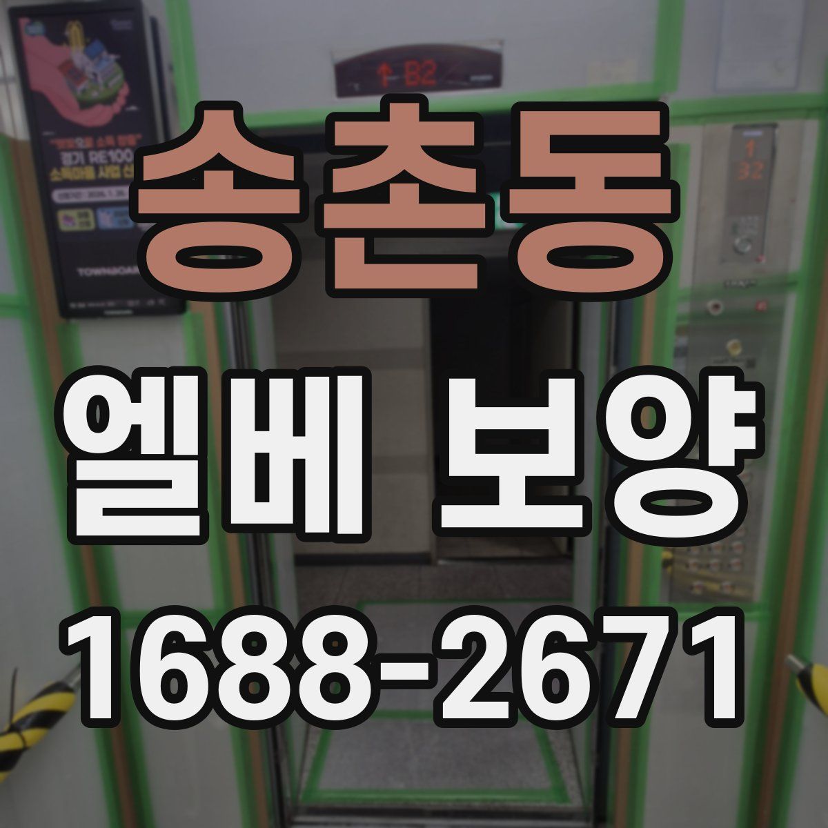 송촌동 엘베 보양