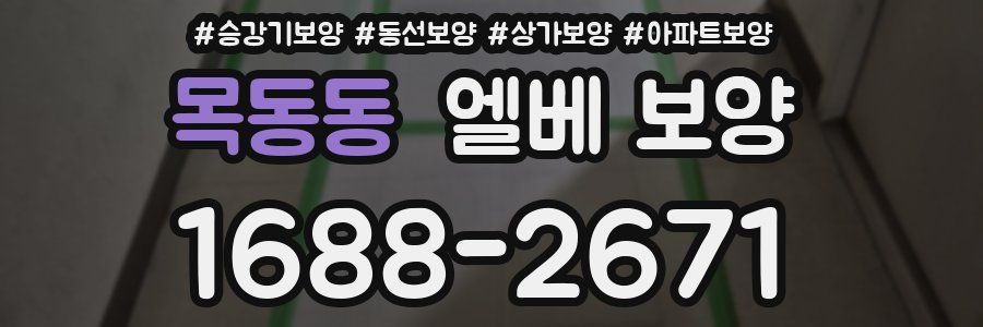 목동동 엘베 보양