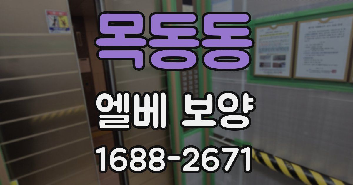 목동동 엘베 보양