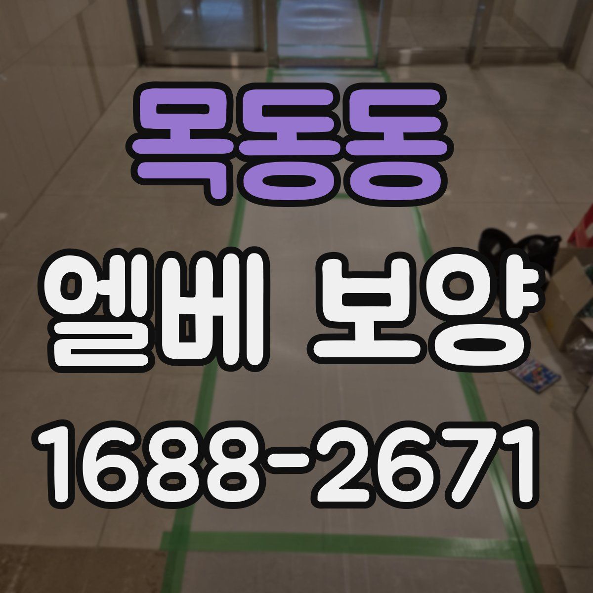 목동동 엘베 보양