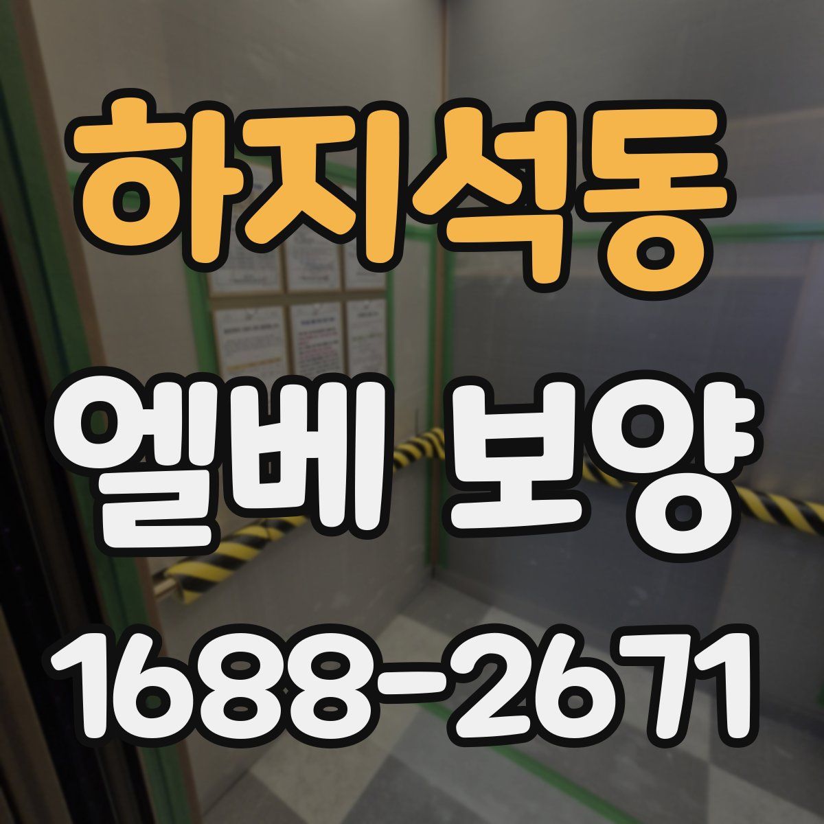 하지석동 엘베 보양