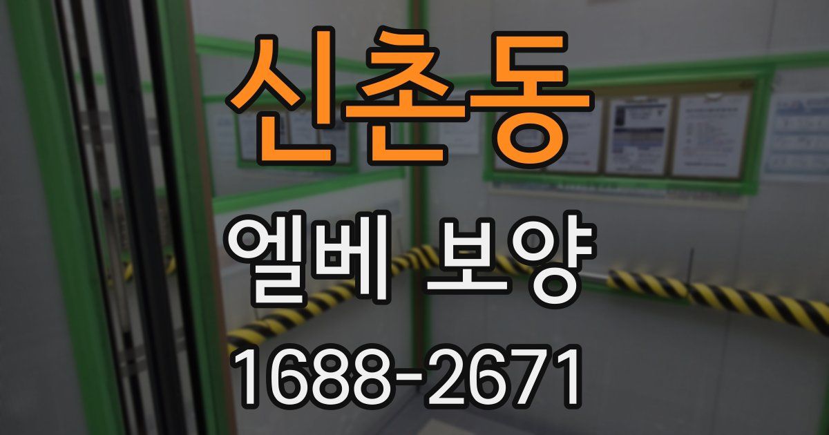 신촌동 엘베 보양