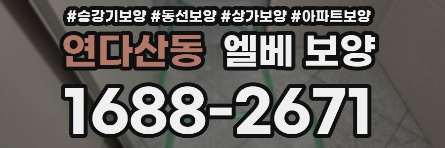 연다산동 엘베 보양
