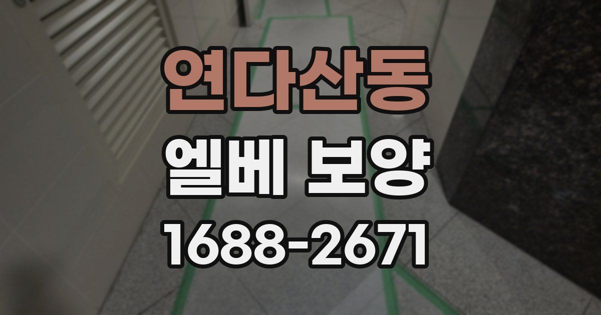 연다산동 엘베 보양