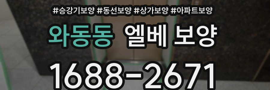 와동동 엘베 보양