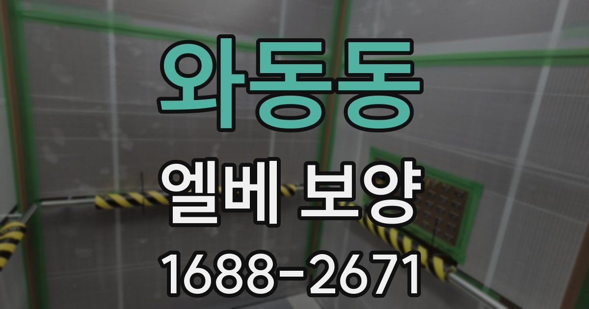 와동동 엘베 보양