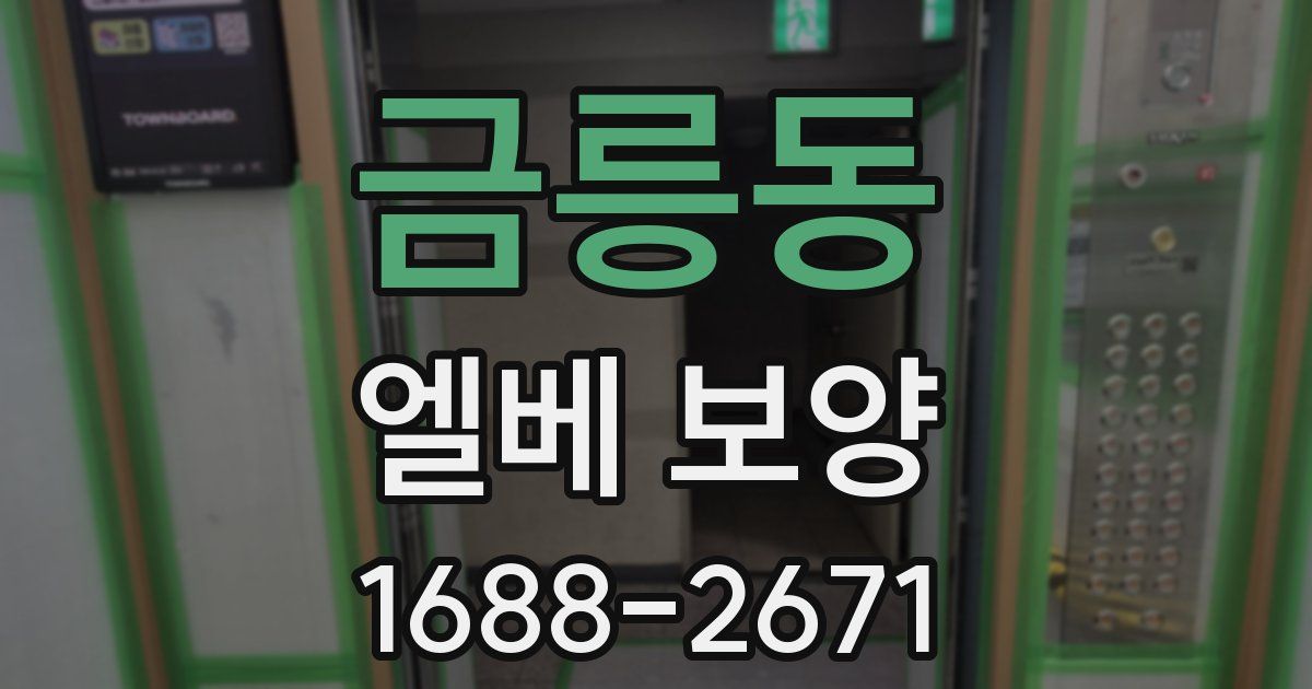 금릉동 엘베 보양