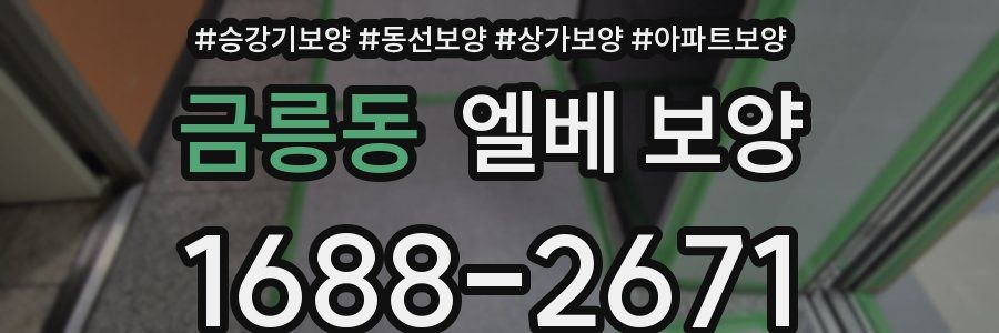 금릉동 엘베 보양