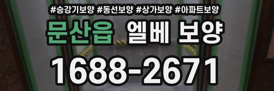 문산읍 엘베 보양