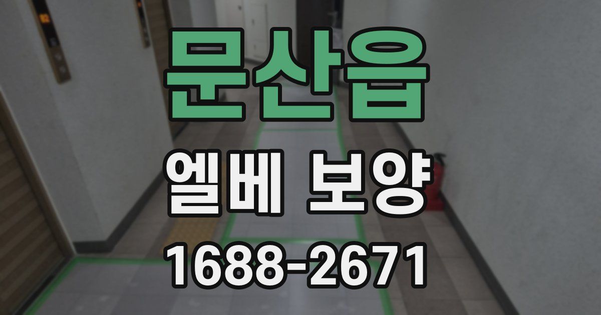 문산읍 엘베 보양
