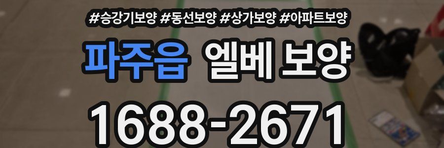 파주읍 엘베 보양