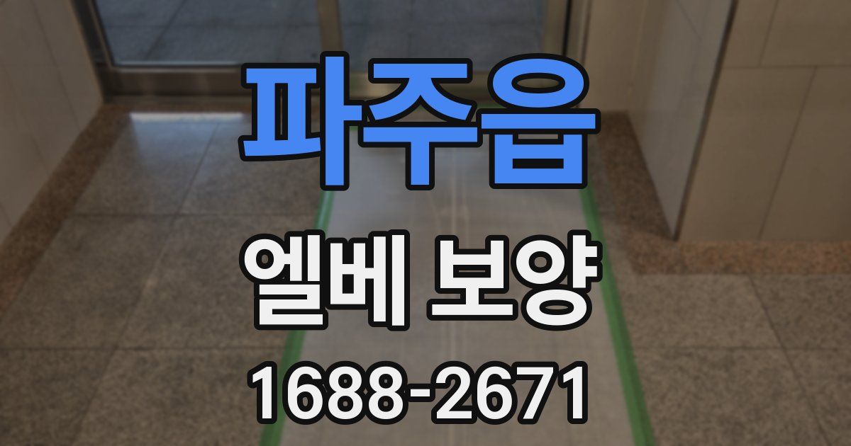 파주읍 엘베 보양