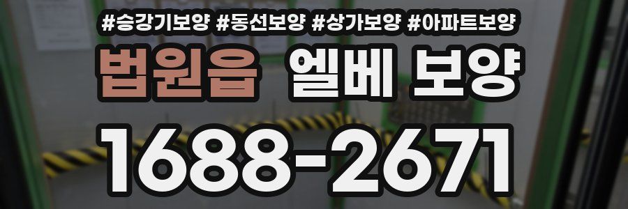 법원읍 엘베 보양