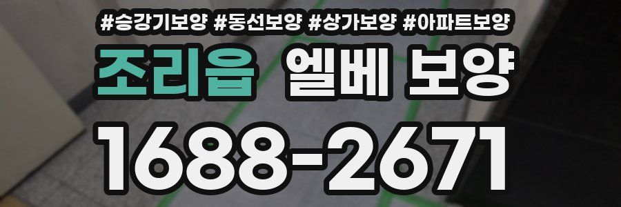 조리읍 엘베 보양